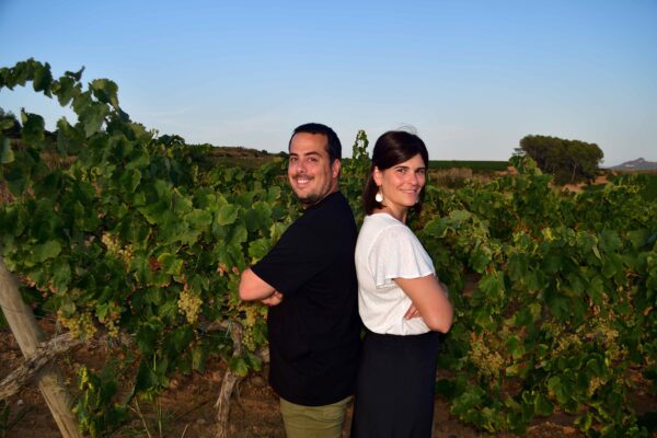 Vins actuals fets com abans-Tast de vins i maridatge